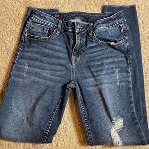 Bryleigh Distressed Frayed Hem Crop Skinny Jean